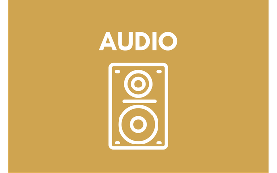 Audio Rental
